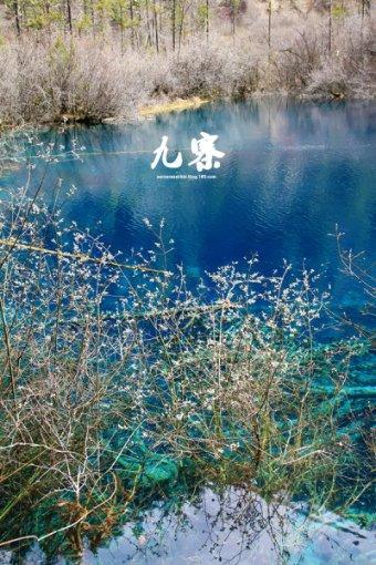 探寻为何农村自建房后墙不能留窗?有什么讲究?,开启知识星球平台的精彩世界